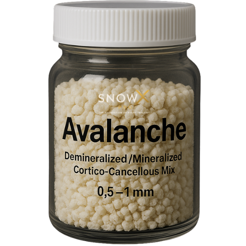 Avalanche