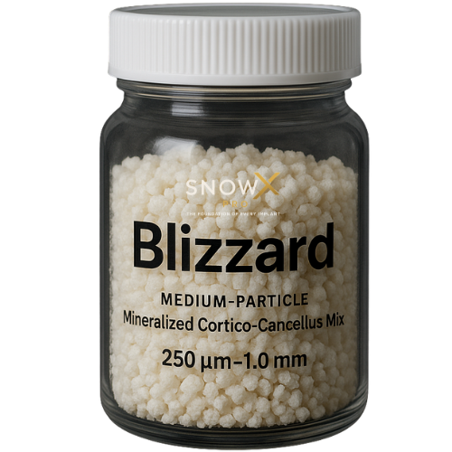 Blizzard